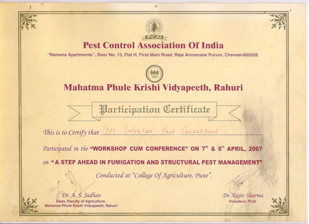 Certificate 6